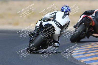 media/May-13-2023-SoCal Trackdays (Sat) [[8a473a8fd1]]/Turn 11 Backside (945am)/